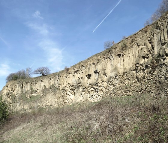 Die imposante Felswand der Ahl, © Foto: Svenja Schulze-Entrup, Quelle: Touristik-Büro Vordereifel Die imposante Felswand der Ahl, © Foto: Svenja Schulze-Entrup, Quelle: Touristik-Büro Vordereifel