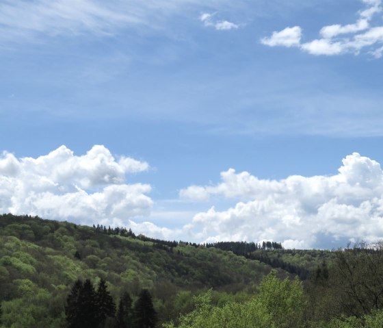Ausblick von der Terrasse, © Foto: Svenja Schulze-Entrup, Quelle: Touristik-Büro Vordereifel Ausblick von der Terrasse, © Foto: Svenja Schulze-Entrup, Quelle: Touristik-Büro Vordereifel