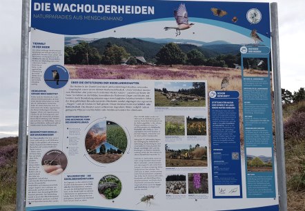Infotafel Wacholderheiden, © Svenja Schulze-Entrup Infotafel Wacholderheiden, © Svenja Schulze-Entrup
