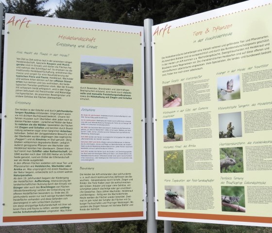 Informationstafel zur Heidelandschaft, © Foto: Svenja Schulze-Entrup, Quelle: Touristik-Büro Vordereifel Informationstafel zur Heidelandschaft, © Foto: Svenja Schulze-Entrup, Quelle: Touristik-Büro Vordereifel