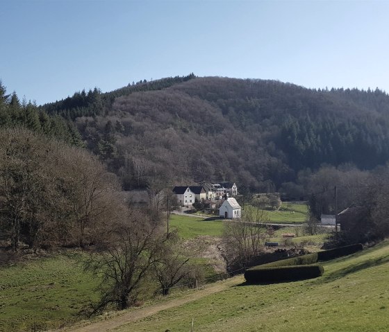 Uitzicht op Niederwelschenbach, © Foto: Svenja Schulze-Entrup, Quelle: Touristik-Büro Vordereifel Uitzicht op Niederwelschenbach, © Foto: Svenja Schulze-Entrup, Quelle: Touristik-Büro Vordereifel