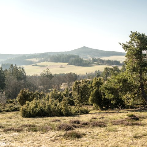 Vue sur l'Eifel et les genévriers sur le sentier de rêve Bergheidenweg, © Eifel Tourismus GmbH, D. Ketz Vue sur l'Eifel et les genévriers sur le sentier de rêve Bergheidenweg, © Eifel Tourismus GmbH, D. Ketz
