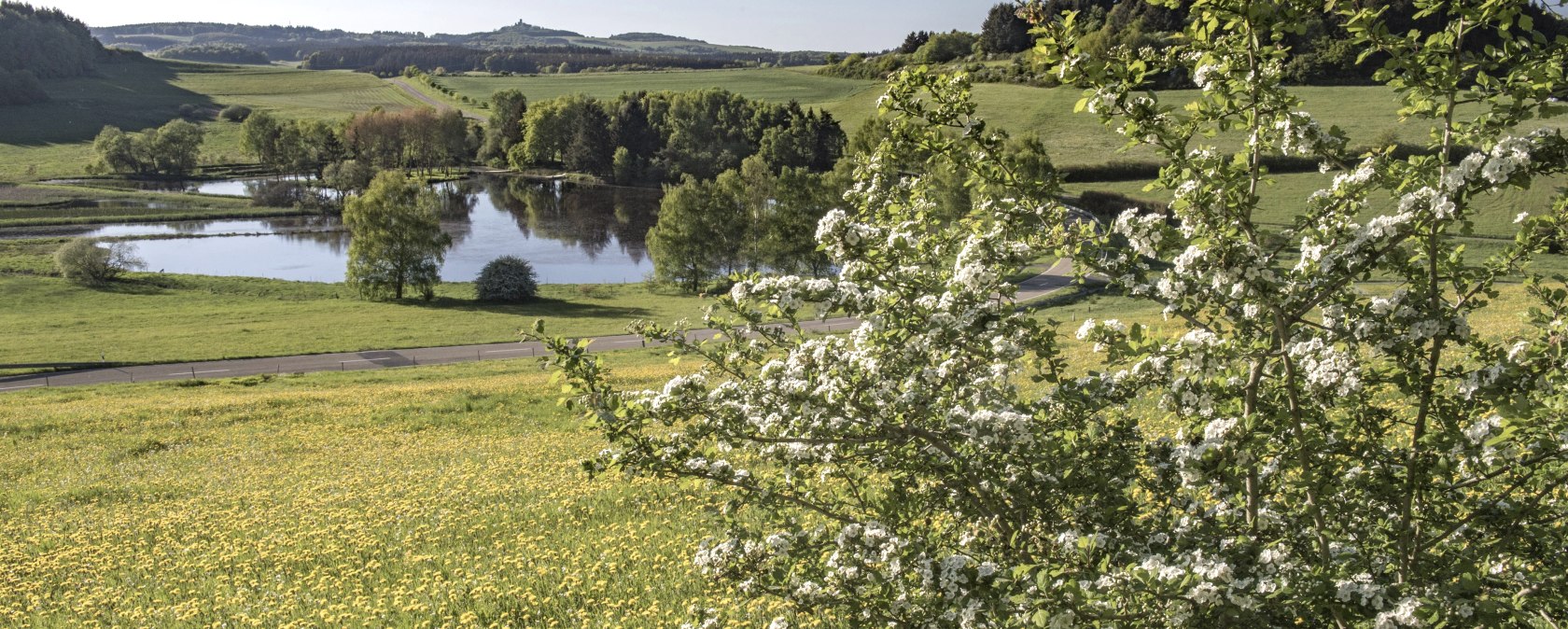 Traumpfädchen Eifelturmpfad Boos, © Klaus-Peter Kappest/REMET Traumpfädchen Eifelturmpfad Boos, © Klaus-Peter Kappest/REMET