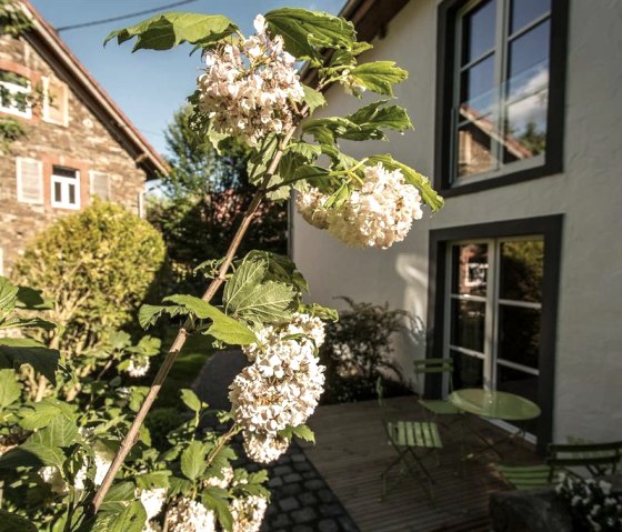 Impressionen - 4 Impressionen - 4