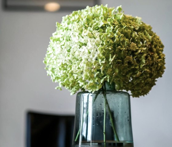 Impression Impression