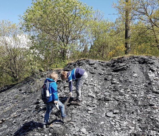 Exploring the slate dump, © Foto: Svenja Schulze-Entrup, Quelle: Touristik-Büro Vordereifel Exploring the slate dump, © Foto: Svenja Schulze-Entrup, Quelle: Touristik-Büro Vordereifel