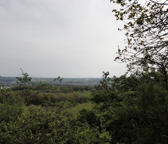 aussicht-vom-ettringer-bellerberg aussicht-vom-ettringer-bellerberg