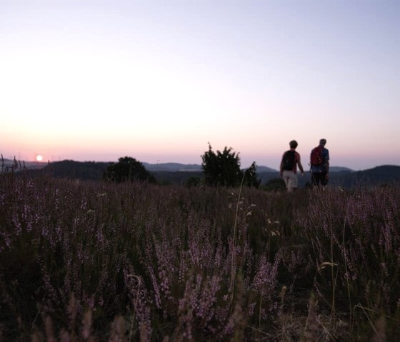 Wacholderheide Langscheid bei Sonnenaufgang, © Foto: Laura Rinneburger, Quelle: Touristik-Büro Vordereifel Wacholderheide Langscheid bei Sonnenaufgang, © Foto: Laura Rinneburger, Quelle: Touristik-Büro Vordereifel