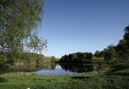 Traumpfädchen Eifelturmpfad Boos, © Laura Rinneburger Traumpfädchen Eifelturmpfad Boos, © Laura Rinneburger