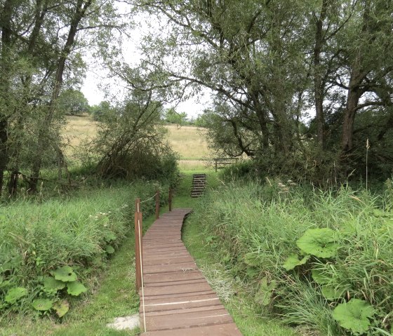 Am Morswiesener Weiher, © Foto: Svenja Schulze-Entrup, Quelle: Touristik-Büro Vordereifel Am Morswiesener Weiher, © Foto: Svenja Schulze-Entrup, Quelle: Touristik-Büro Vordereifel