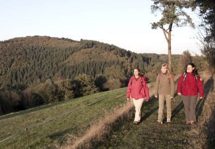Drei Frauen wandern auf einem Pfad durch eine herbstliche Landschaft. Im Hintergrund sind bewaldete Hügel zu sehen., © Traumpfade/Kappest Drei Frauen wandern auf einem Pfad durch eine herbstliche Landschaft. Im Hintergrund sind bewaldete Hügel zu sehen., © Traumpfade/Kappest