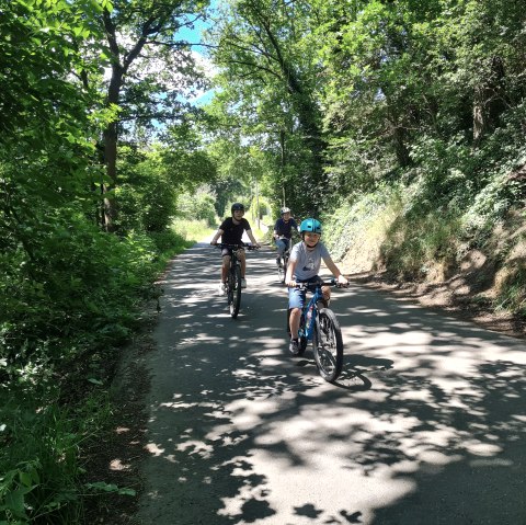 Unterwegs auf der Vulkanschleife Basalt, © Svenja Schulze-Entrup Unterwegs auf der Vulkanschleife Basalt, © Svenja Schulze-Entrup