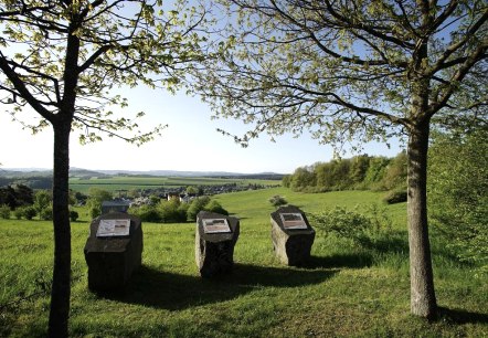 Vulkanparkinfotafeln mit Blick auf Boos, &copy; Foto: Laura Rinneburger, Quelle: Touristik-B&uuml;ro Vordereifel