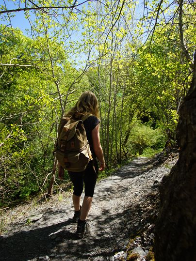 A person walks along a narrow path through a green forest.