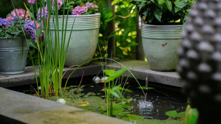 A tranquil garden pond with bubbling water and lush vegetation. Surrounded by colorful flowers and potted plants.