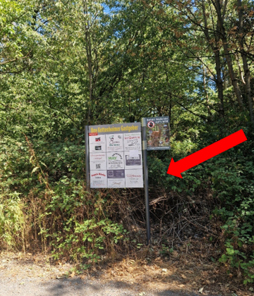 Ein Informationsschild steht inmitten von dichten Bäumen und Sträuchern. Es zeigt verschiedene Plakate und Anzeigen in einer natürlichen Umgebung.