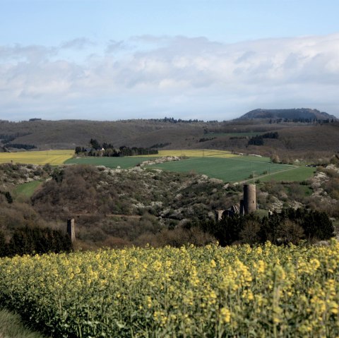 Blick auf die beiden Monreal Burgen, © Foto: Laura Rinneburger, Quelle: Touristik-Büro Vordereifel