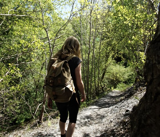 Eine Person mit Rucksack wandert auf einem schmalen Pfad durch einen dichten, gr&uuml;nen Wald. Die Sonne scheint durch die Bl&auml;tter., &copy; Laura Rinneburger