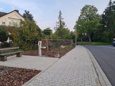 A paved pedestrian zone with trees and a bench on the side. The street runs alongside, surrounded by green vegetation.