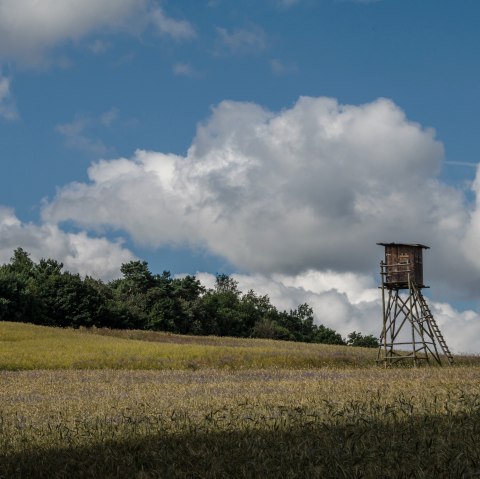7-D&ouml;rfer-Wanderweg, &copy; Volker Windheuser