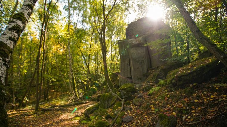 Ein ruhiger Wald mit buntem Laub und sanftem Sonnenlicht. Im Hintergrund ist eine alte, verfallene Struktur versteckt.