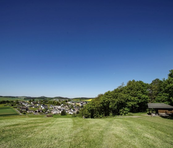 Wiese Wald und blauer Himmel an der Schutzh&uuml;tte, &copy; Laura Rinneburger