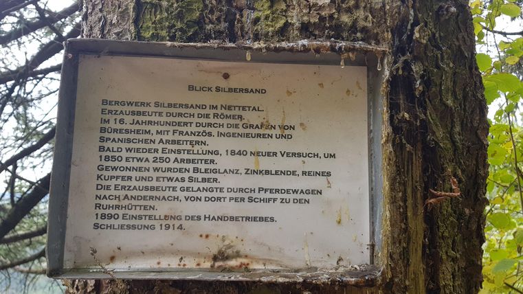 Ein beschriftetes Schild an einem Baum. Das Schild enthält Informationen über die Umgebung und historische Daten.