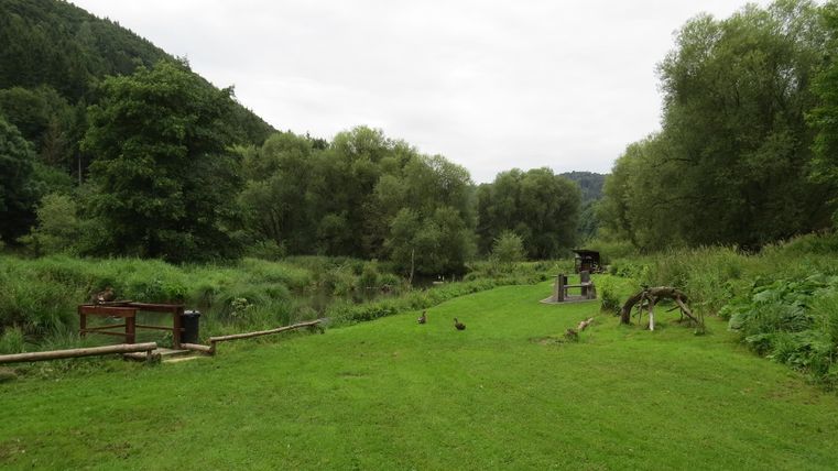 Eine ruhige Wiese mit üppigem grünen Gras und Bäumen im Hintergrund. Der Himmel ist bewölkt und es fließt ein kleiner Wasserlauf entlang der Landschaft.
