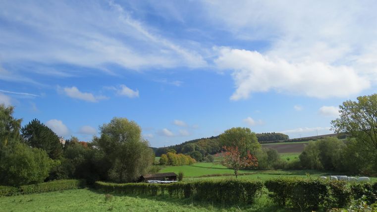 Eine grüne Landschaft mit sanften Hügeln und Bäumen. Der Himmel ist blau mit einigen Wolken.