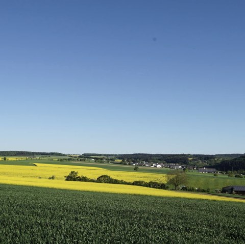 Ausblick, &copy; Laura Rinneburger