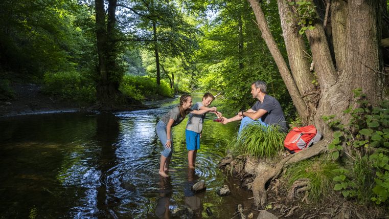 A family takes a break by a stream in the forest.