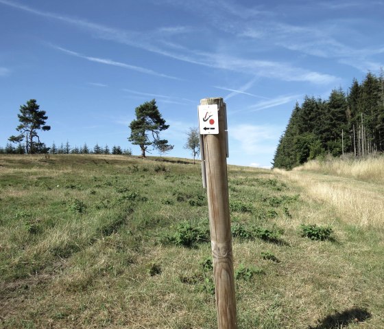 Ein Holzpfosten mit einem Wegweiser, der einen roten Punkt zeigt, steht auf einer Wiese unter blauem Himmel. Im Hintergrund sind B&auml;ume zu sehen., &copy; Svenja Schulze-Entrup
