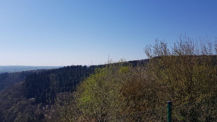 Eine grüne Landschaft mit Bäumen und Hügeln unter einem klaren blauen Himmel. Im Vordergrund ist ein Zaun zu sehen.