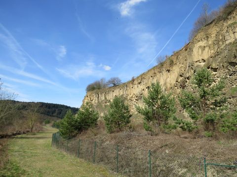 Ein steiler Hang mit sandigem Gestein und vereinzelten Bäumen. Der Himmel ist klar und blau, und die Landschaft ist grün und naturbelassen.