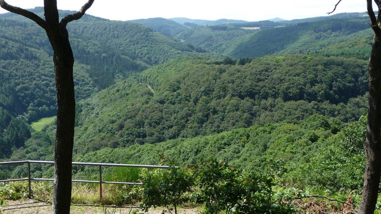 Eine malerische Aussicht auf grüne Hügel und Wälder. Im Vordergrund steht eine Bank, die zum Verweilen einlädt.