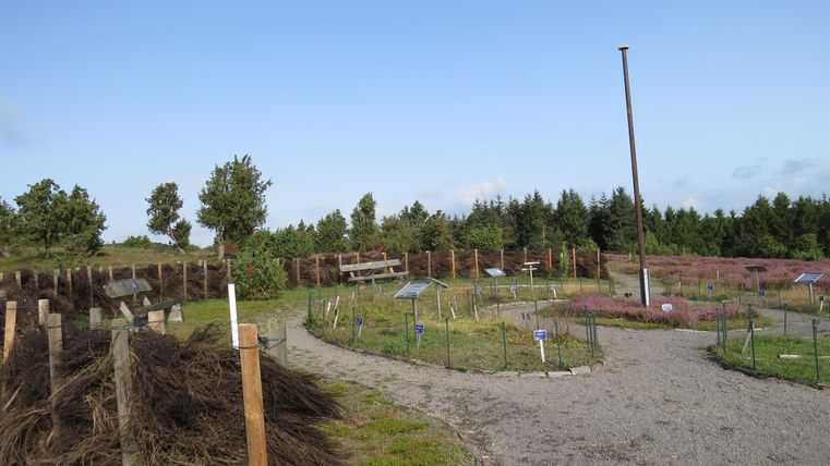 Ein Garten mit bepflanzten Beeten und einem geschwungenen Weg. Im Hintergrund sind Bäume und ein blauer Himmel zu sehen.