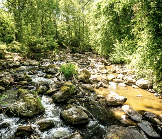 Vulkanpark cycle path, Rauscherpark, &copy; Eifel Tourismus GmbH, Dominik Ketz