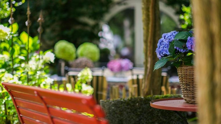 A beautiful garden with colorful flowers and a red bench. In the background, more plants and flowers are visible.