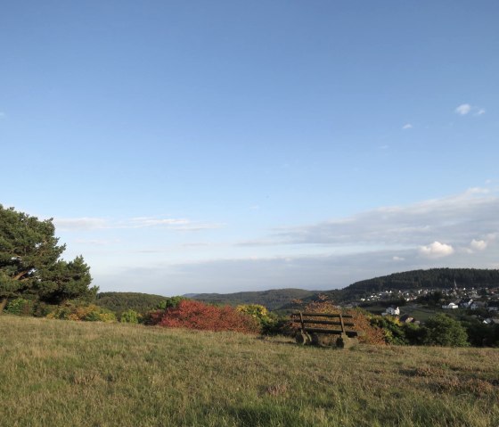 Gr&uuml;ne Wiese mit B&auml;umen und einer Bank, im Hintergrund ein Dorf unter blauem Himmel., &copy; Svenja Schulze-Entrup