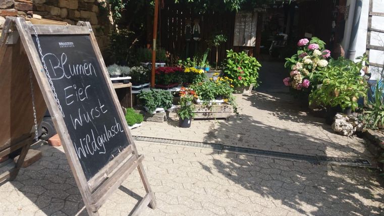 An inviting courtyard with a wooden sign offering fresh products such as flowers, eggs, and sausage. The surroundings are green and blooming, with numerous plants and flowers.