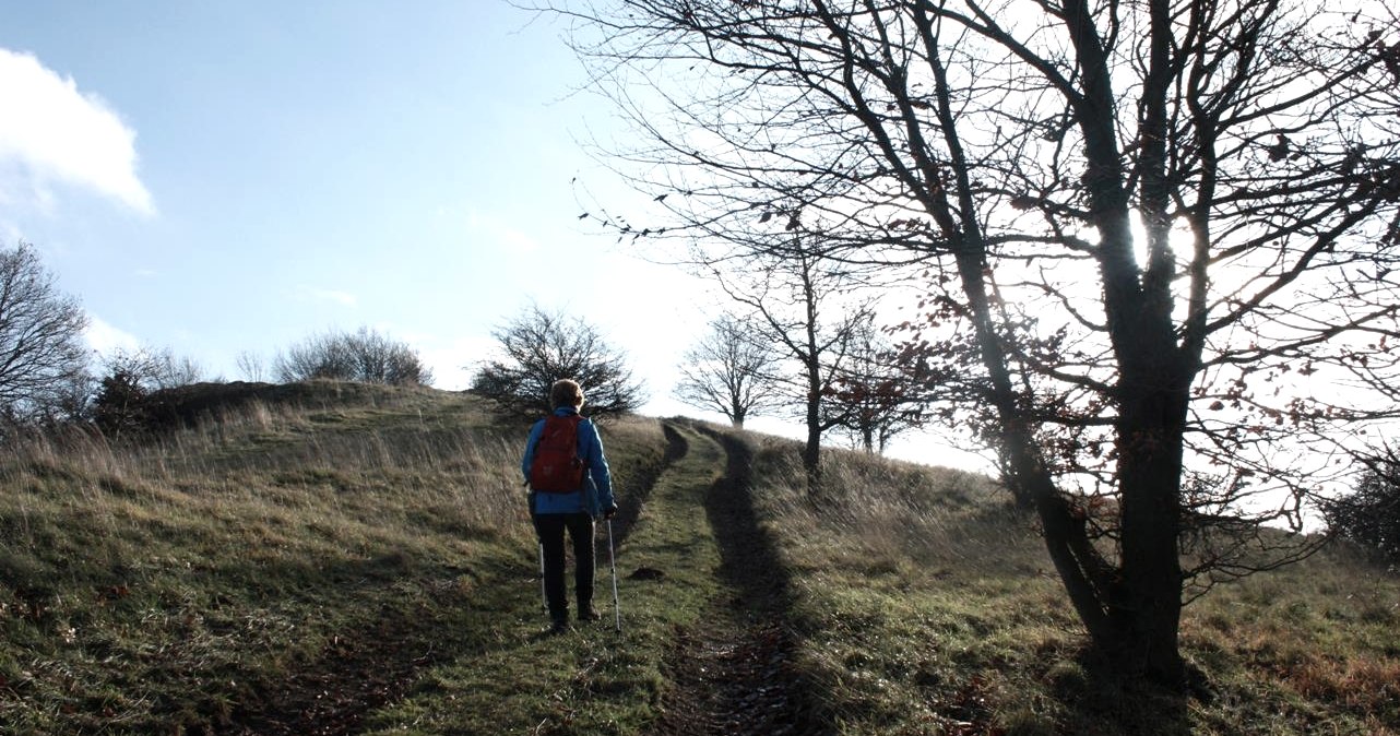 Hinauf zum Ettringer Bellerberg, © Foto: Laura Rinneburger, Quelle: Touristik-Büro Vordereifel