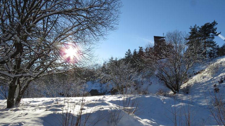 Eine verschneite Landschaft mit schneebedeckten Bäumen und strahlendem Sonnenschein. Im Hintergrund ist ein Turm sichtbar.