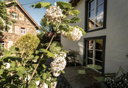 Impressionen - 4