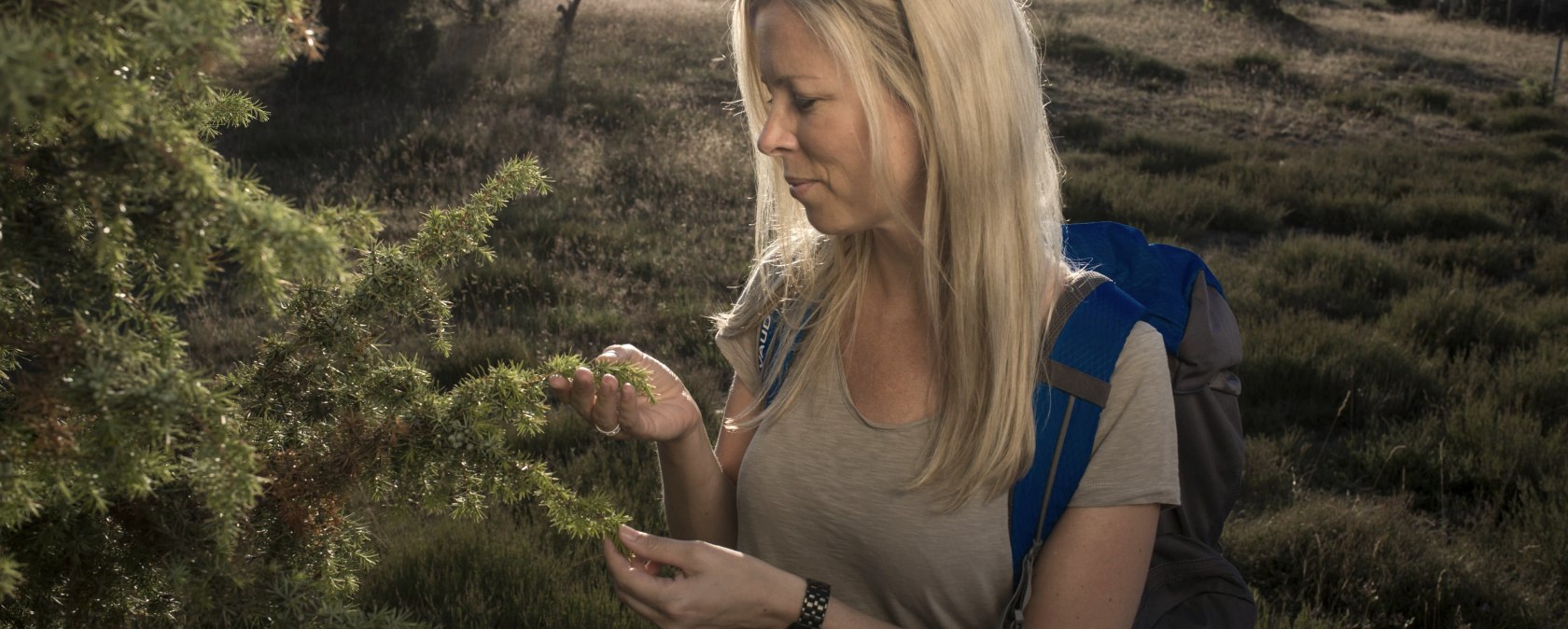 Traumpf&auml;dchen Wacholderblick Langscheid, &copy; Klaus-Peter Kappest, REMET