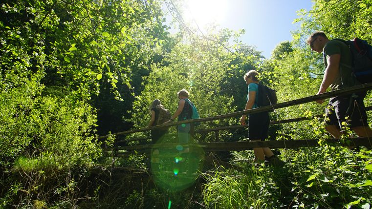 Vier Personen überqueren eine kleine Holzbrücke in einem grünen Waldgebiet bei Sonnenschein.