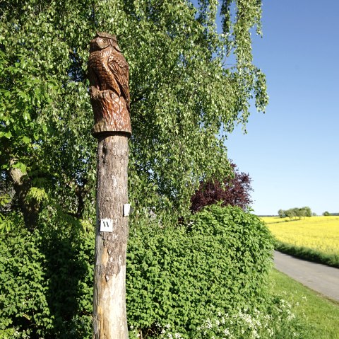 Wiesbachtalweg à Weiler/ Eifel, © Laura Rinneburger