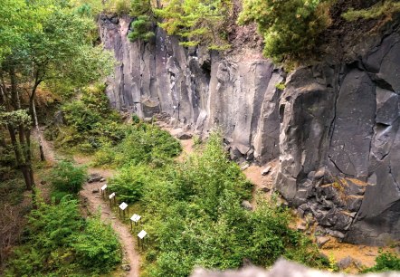 Blick auf einige der Vulkanparkstelen im Kottenheimer Winfeld