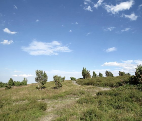 De Wabelsberg, &copy; Foto: Svenja Schulze-Entrup, Quelle: Touristik-B&uuml;ro Vordereifel