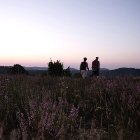 Wanderer in der Wacholderheide in Langscheid bei Sonnenaufgang