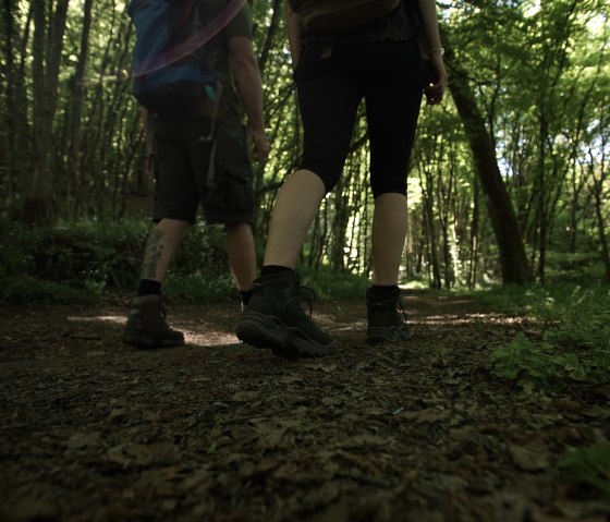 Zwei Wanderer gehen auf einem schattigen Waldweg, umgeben von dichtem, gr&uuml;nem Laub. Die Szene strahlt Ruhe und Naturverbundenheit aus., &copy; Laura Rinneburger
